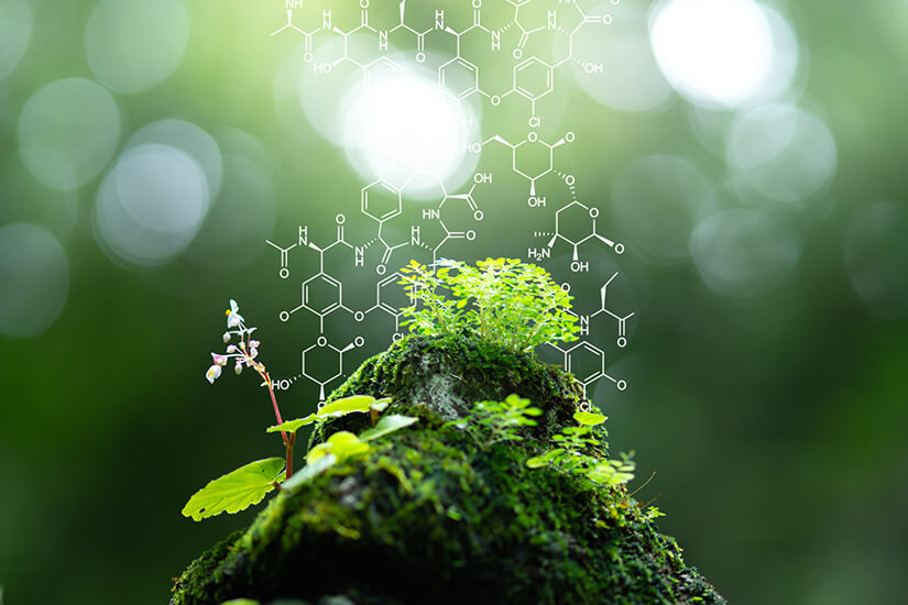 05_Picture_Company-responsibility_825x550_OK Small green plants growing on a moss-covered rock in a forest with floating chemical structures, symbolizing the connection between nature and sustainable chemistry or green innovation.