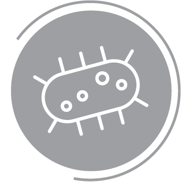 icon showing bacteria