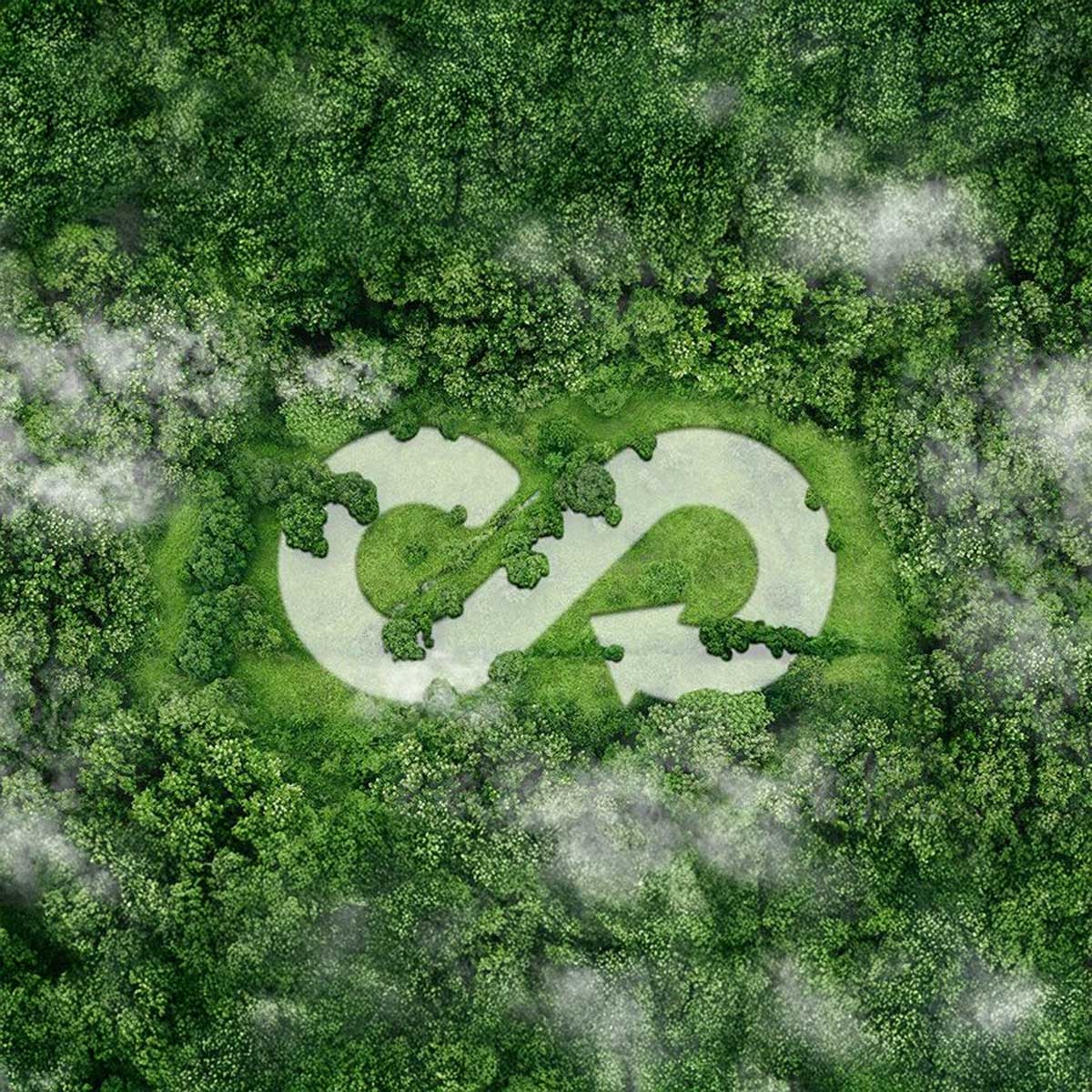 _Sustainability-Goals Aerial view of a dense green forest with a clearing in the shape of a circular infinity loop symbol, representing sustainability and the circular economy.