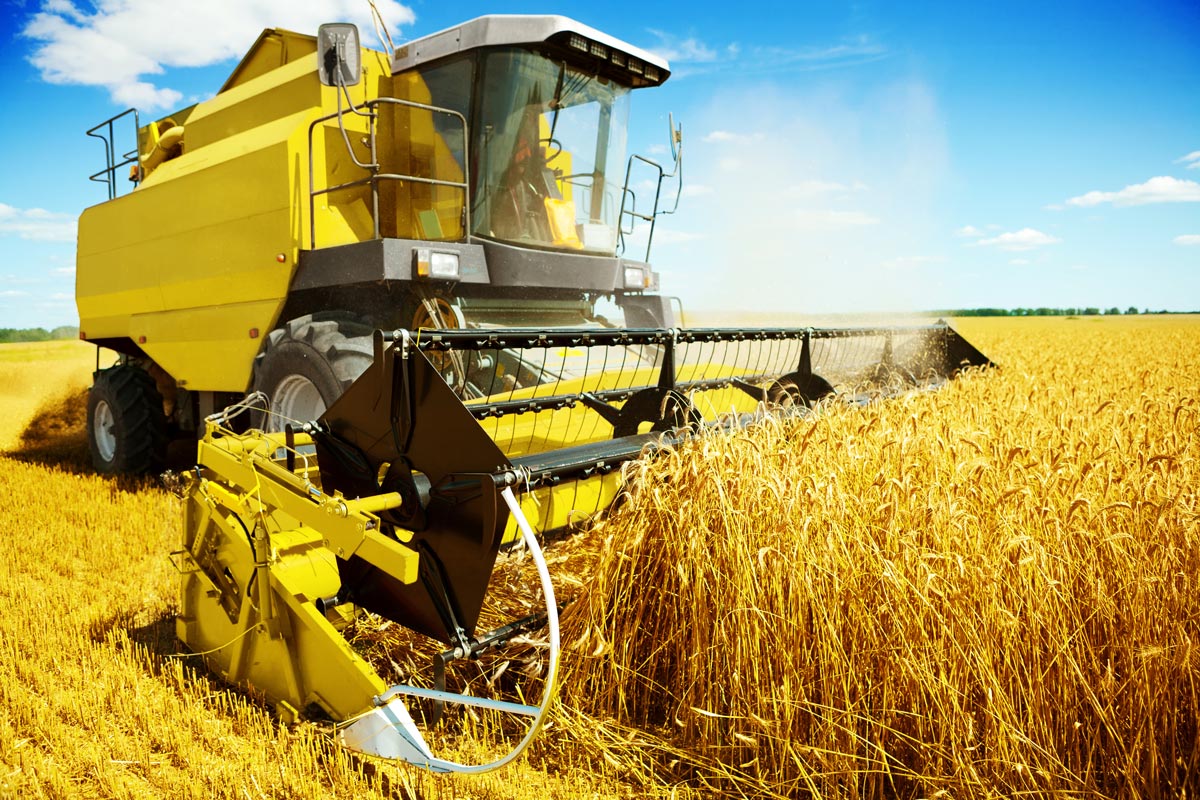 bio-based-ACE-coatings Large yellow combine harvester working in a golden wheat field under a bright blue sky, collecting crops during harvest season
