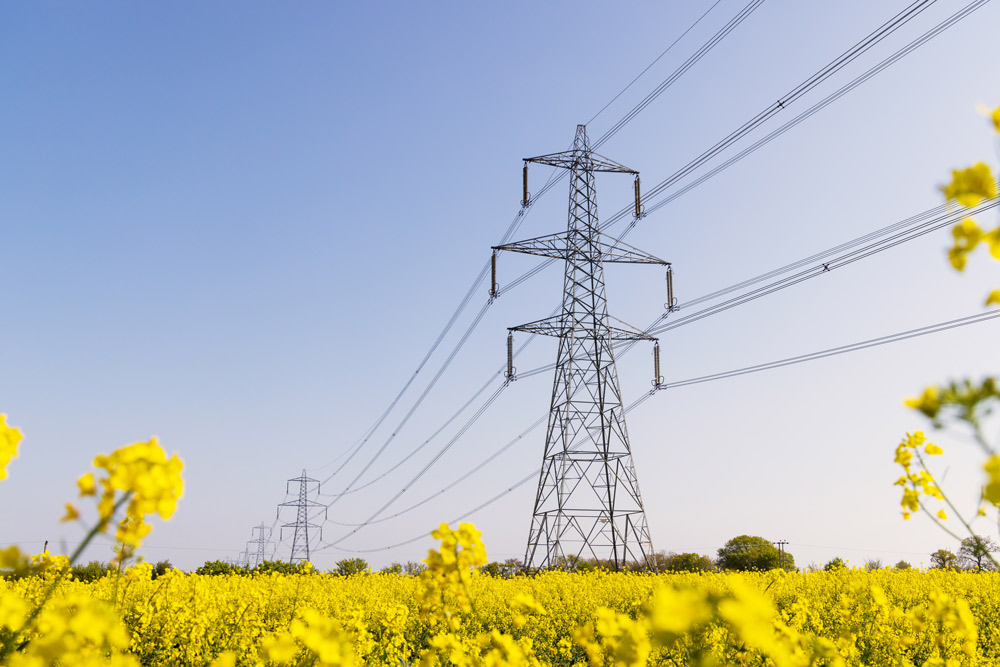 infrastructure Electricity pylon in a field