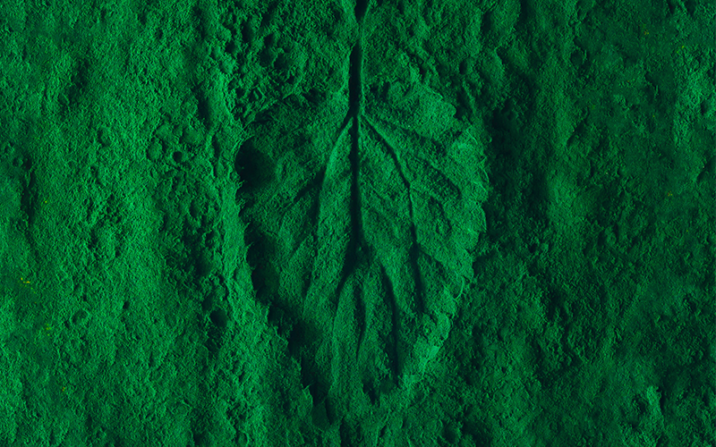powder-sustainability green powder that has in inprint of a leaf in the middle, singnaling the sustainability of these coatings